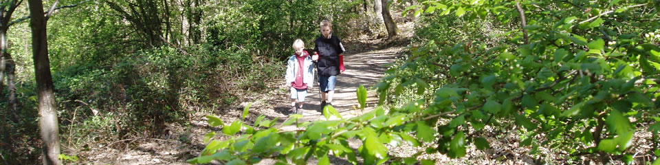 Weindorf Frauenstein