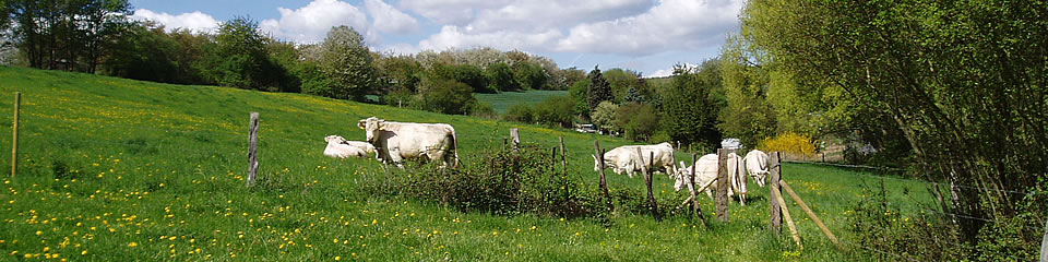Weindorf Frauenstein