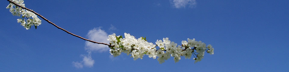 Weindorf Frauenstein