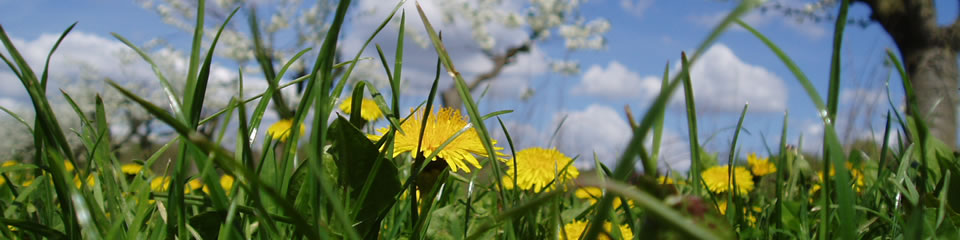 Weindorf Frauenstein