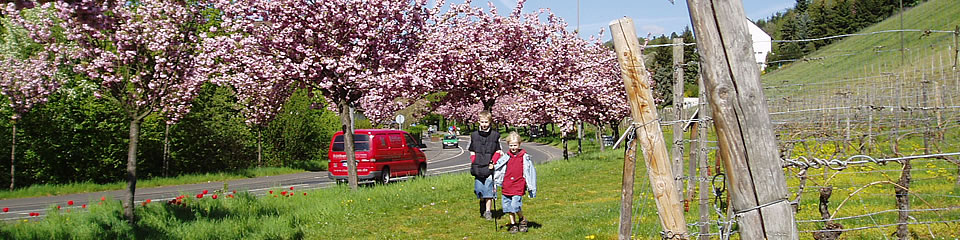 Weindorf Frauenstein