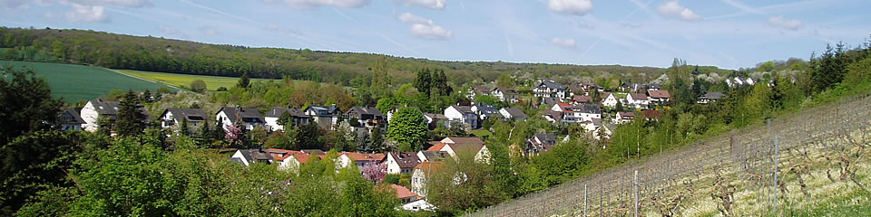 Weindorf Frauenstein