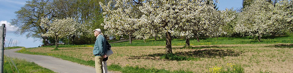 Weindorf Frauenstein